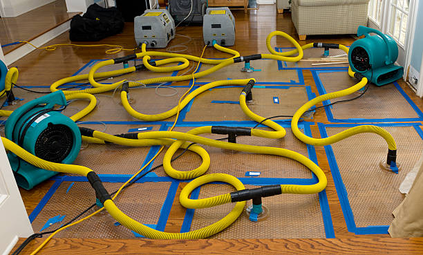 Professional Crawl Space Water Removal technician working in Hixson, TN